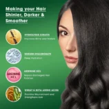 actium-procalp-activ-color-1-0-black-kit-components